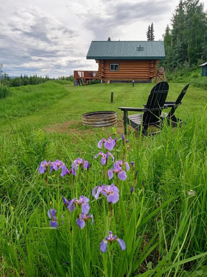 Secluded Log Cabin, 30 Min From Chena Hot Springs Pleasant Valley Εξωτερικό φωτογραφία